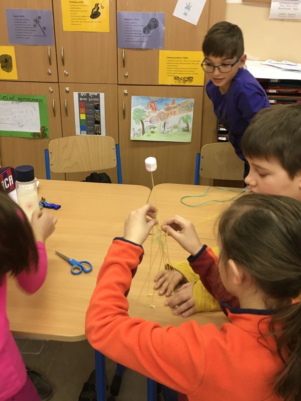 PYP 5 - Transciplinary skills March 2018