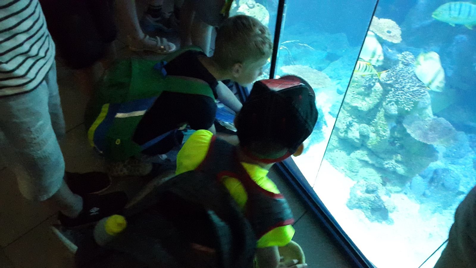 PYP2 in Haus des Meeres