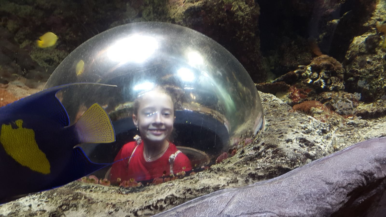 PYP2 in Haus des Meeres