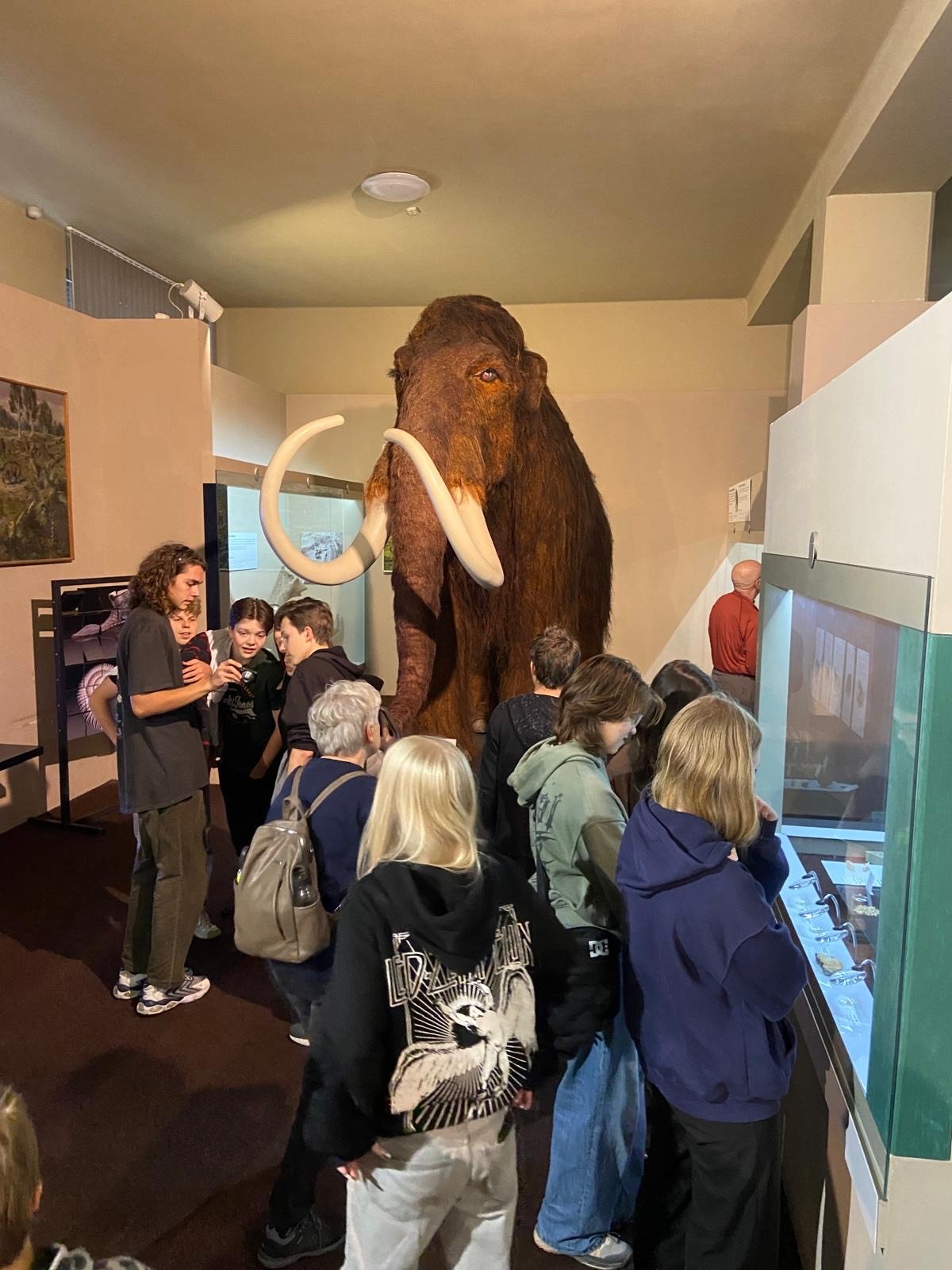 Študenti z Fínska na našej škole