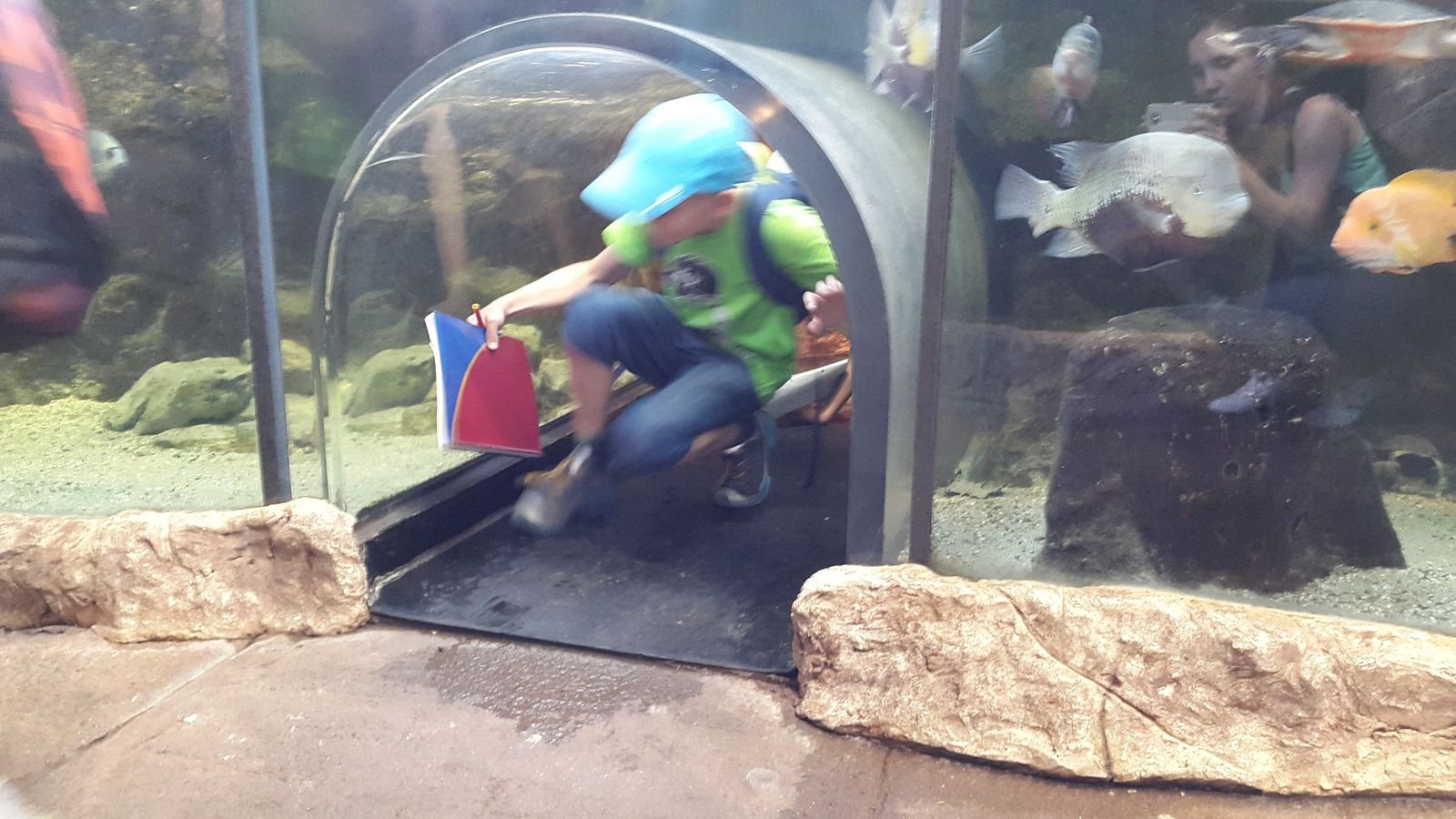 PYP2 in Haus des Meeres