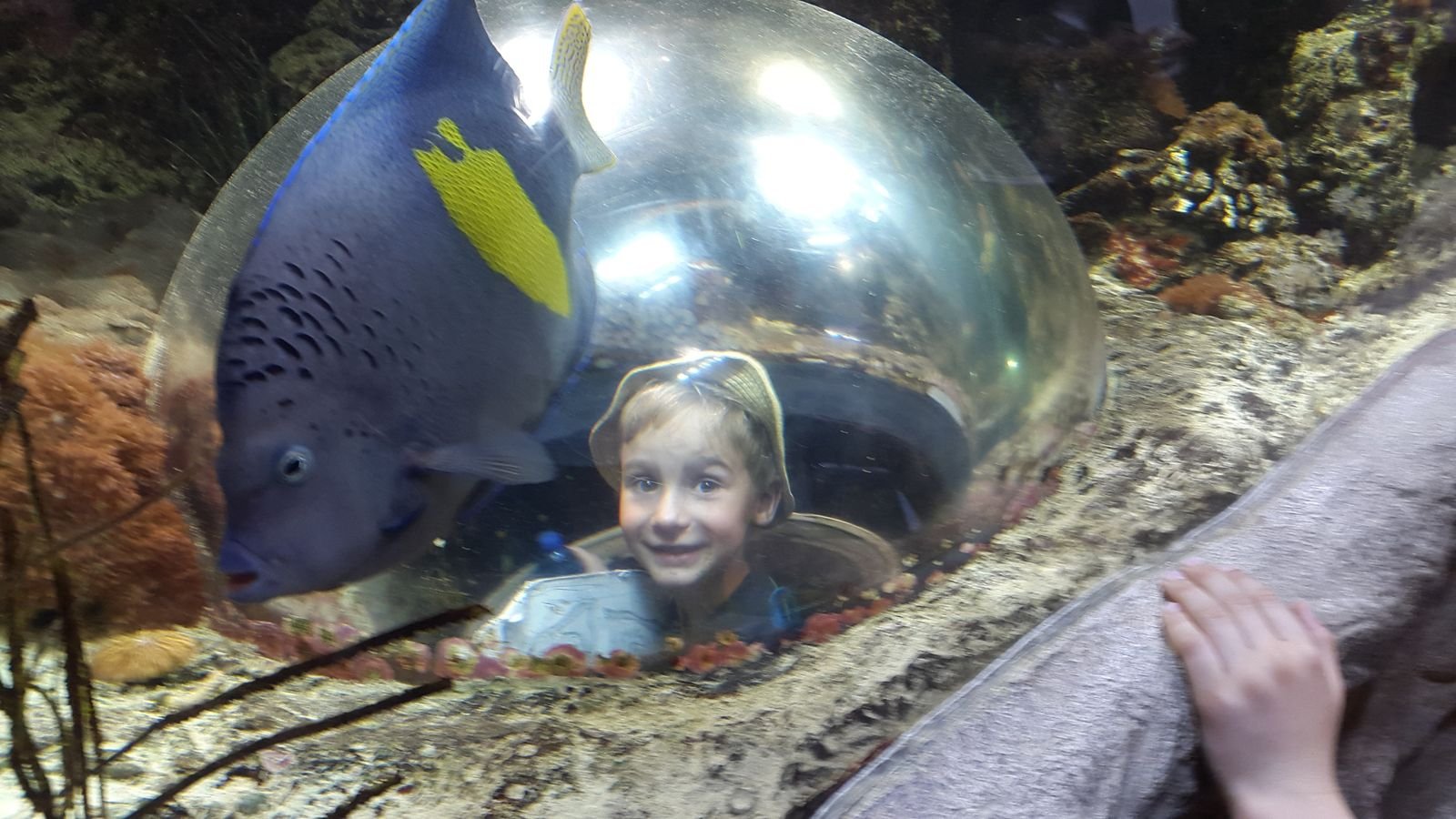 PYP2 in Haus des Meeres