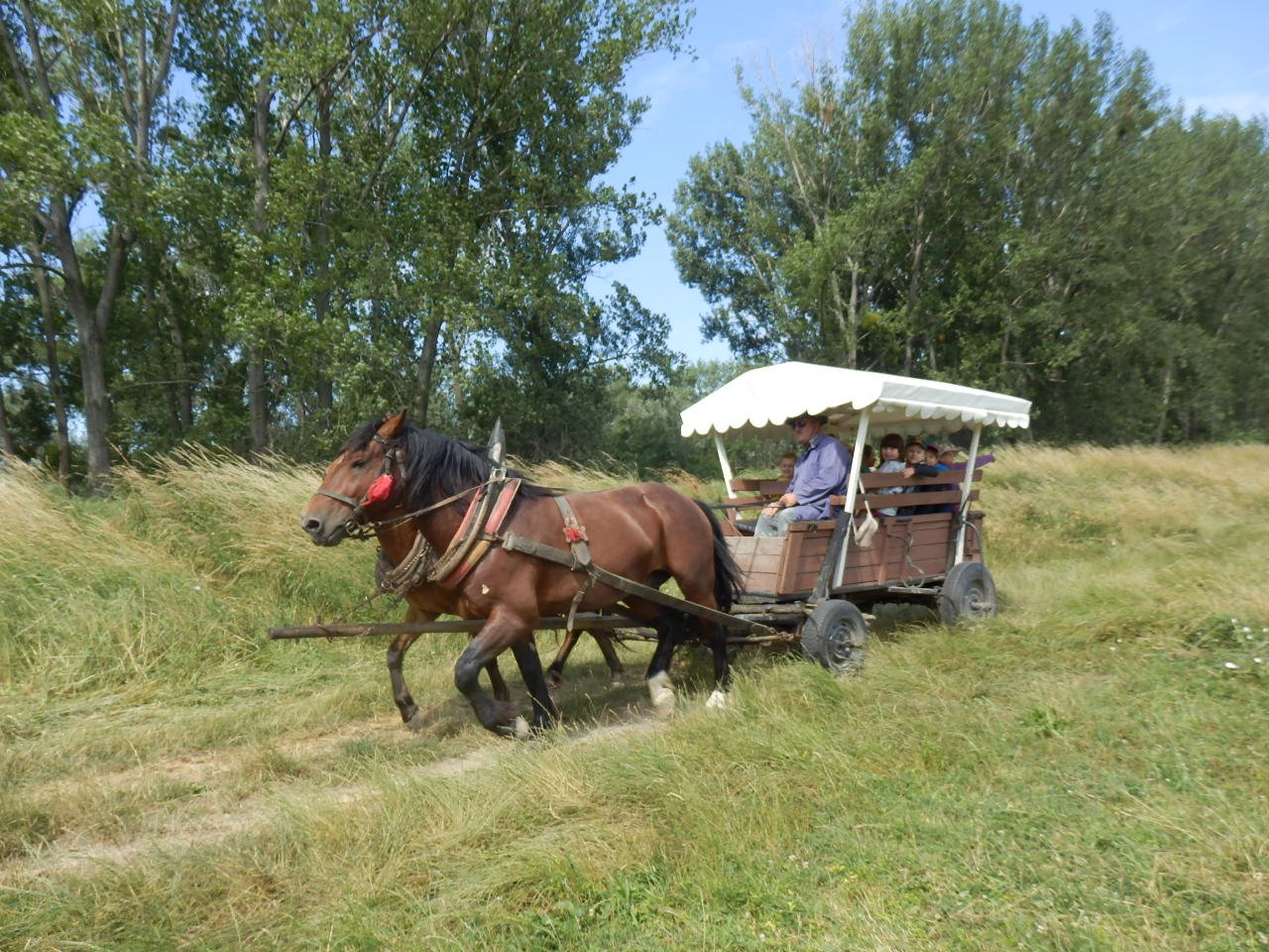 Výlet PYP2 a PYP3 do Vojky