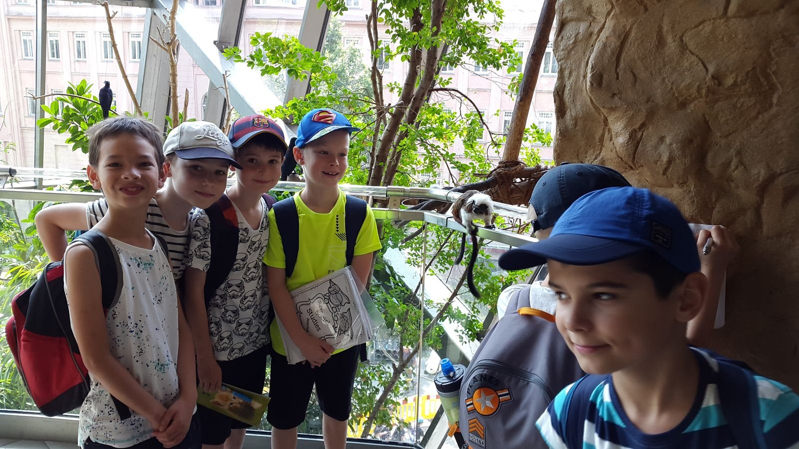 PYP2 in Haus des Meeres