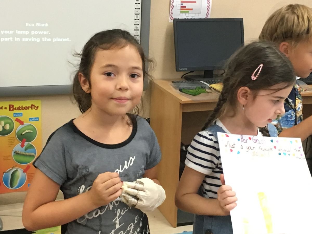 PYP 1 SLC + presentations June 2018