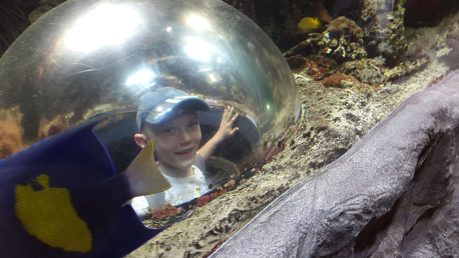 PYP2 in Haus des Meeres